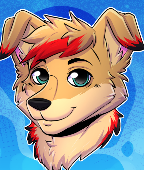 User Profile Photo